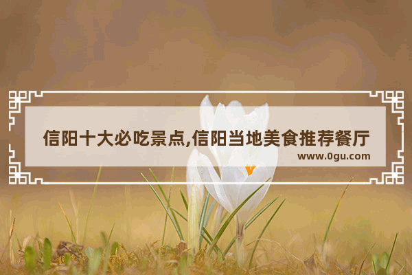 信阳十大必吃景点,信阳当地美食推荐餐厅