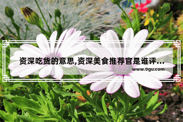 资深吃货的意思,资深美食推荐官是谁评的啊