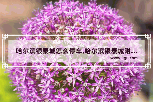 哈尔滨银泰城怎么停车,哈尔滨银泰城附近美食推荐店铺地址