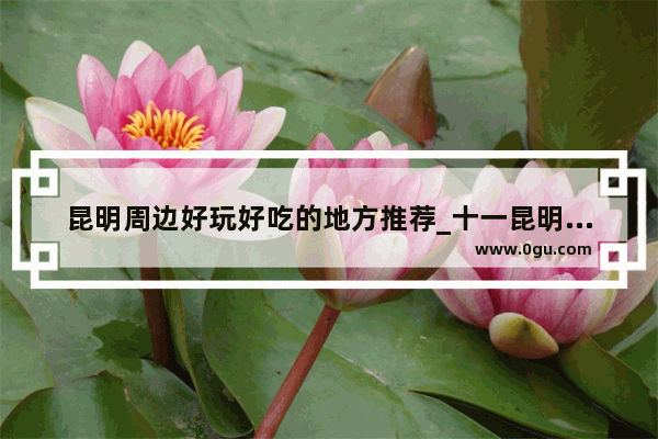 昆明周边好玩好吃的地方推荐_十一昆明情侣适合去的地方