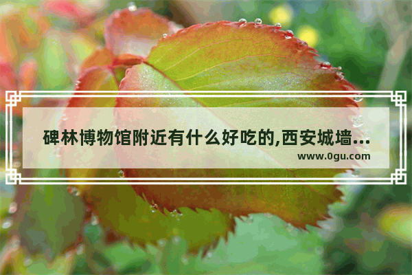 碑林博物馆附近有什么好吃的,西安城墙附近的美食推荐地方