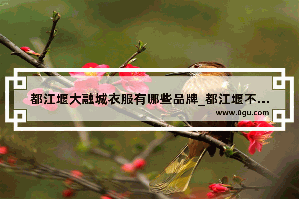 都江堰大融城衣服有哪些品牌_都江堰不同小区停车费各是多少