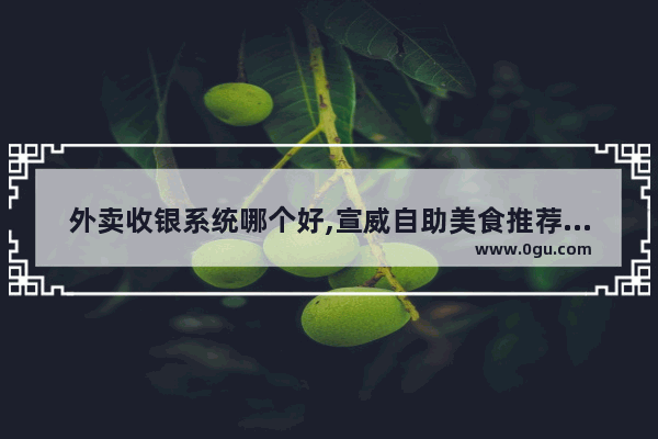 外卖收银系统哪个好,宣威自助美食推荐店有哪些地方好吃