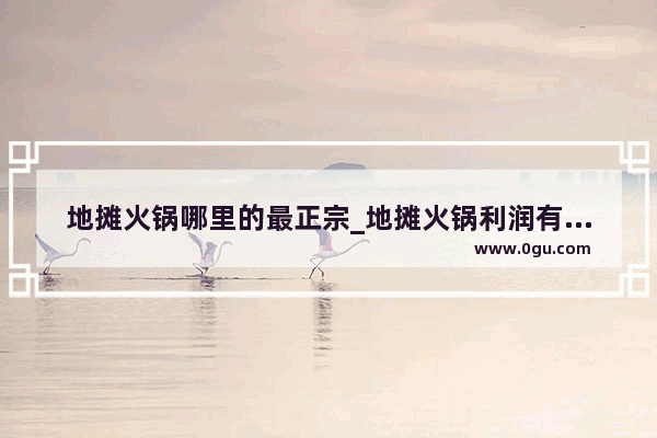 地摊火锅哪里的最正宗_地摊火锅利润有多少