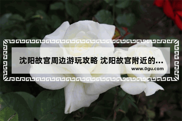 沈阳故宫周边游玩攻略 沈阳故宫附近的美食推荐餐厅有哪些呢