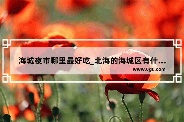 海城夜市哪里最好吃_北海的海城区有什么好吃的地方