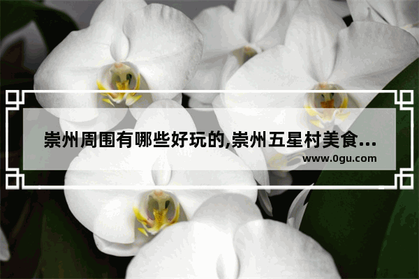 崇州周围有哪些好玩的,崇州五星村美食推荐餐厅在哪里