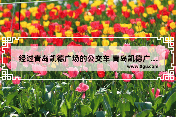经过青岛凯德广场的公交车 青岛凯德广场美食推荐餐厅有哪些