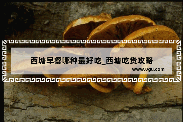 西塘早餐哪种最好吃_西塘吃货攻略
