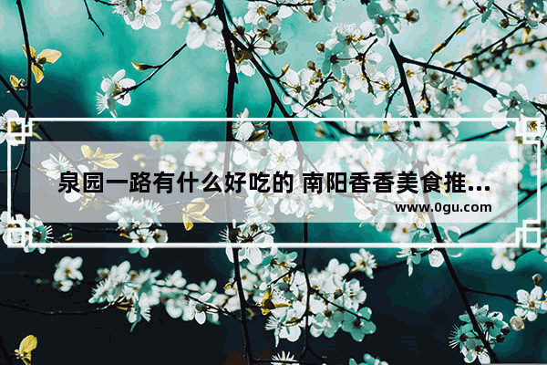 泉园一路有什么好吃的 南阳香香美食推荐餐厅在哪个位置好呢