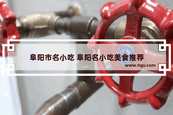 阜阳市名小吃 阜阳名小吃美食推荐