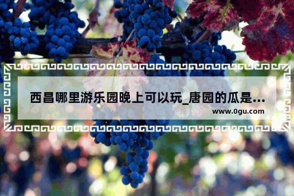 西昌哪里游乐园晚上可以玩_唐园的瓜是什么