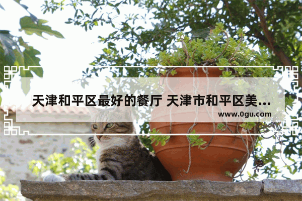 天津和平区最好的餐厅 天津市和平区美食推荐餐厅有哪些品牌的