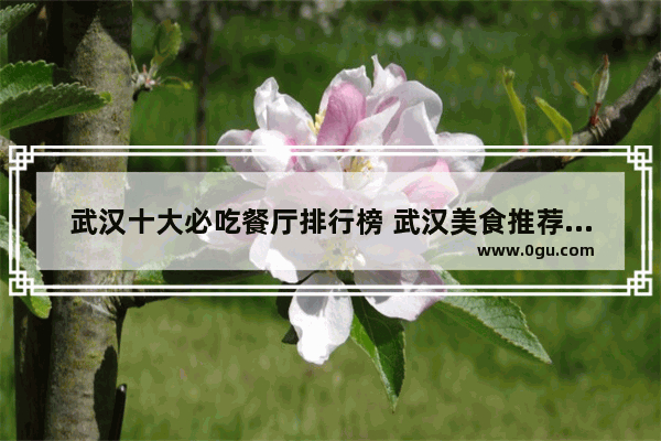 武汉十大必吃餐厅排行榜 武汉美食推荐餐馆有哪些餐厅好吃又便宜