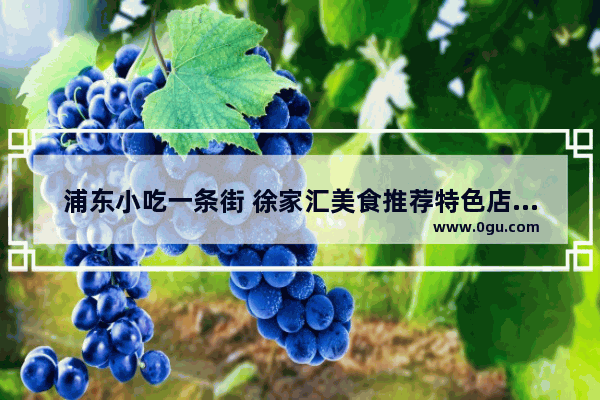 浦东小吃一条街 徐家汇美食推荐特色店在哪个位置啊