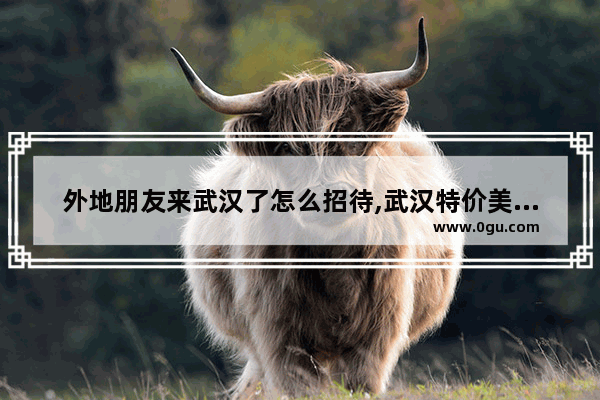 外地朋友来武汉了怎么招待,武汉特价美食推荐一下