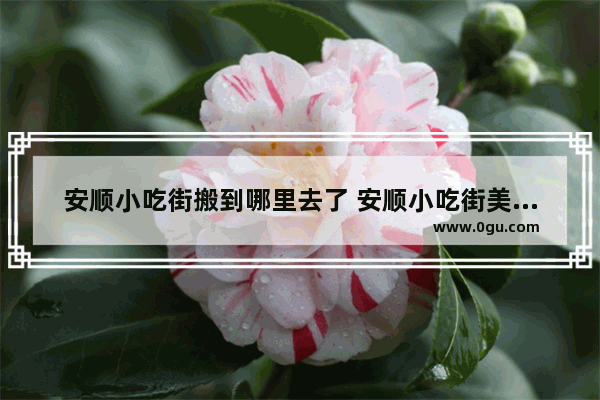 安顺小吃街搬到哪里去了 安顺小吃街美食推荐店有哪些地方好吃