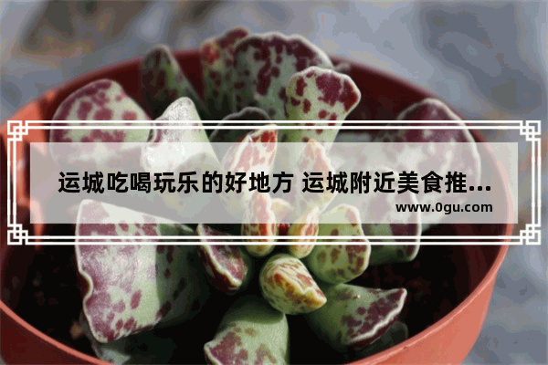 运城吃喝玩乐的好地方 运城附近美食推荐地点在哪儿呀多少钱啊