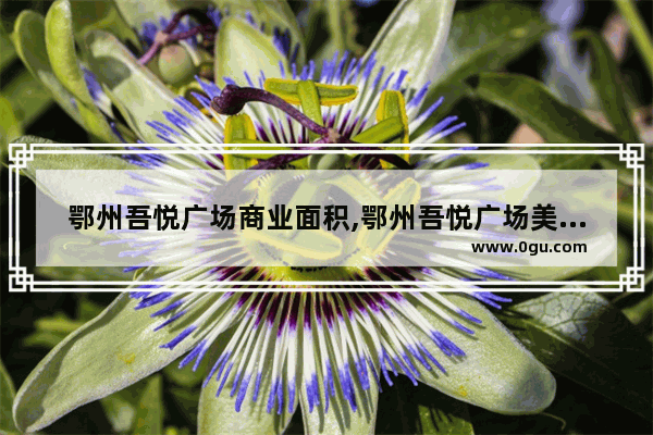 鄂州吾悦广场商业面积,鄂州吾悦广场美食推荐店有哪些品牌