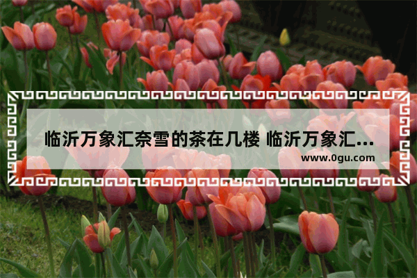 临沂万象汇奈雪的茶在几楼 临沂万象汇美食推荐店在几楼