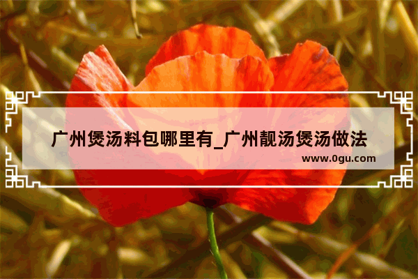 广州煲汤料包哪里有_广州靓汤煲汤做法