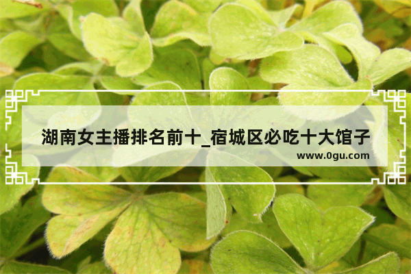 湖南女主播排名前十_宿城区必吃十大馆子