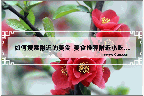 如何搜索附近的美食_美食推荐附近小吃有哪些餐厅好吃的菜品