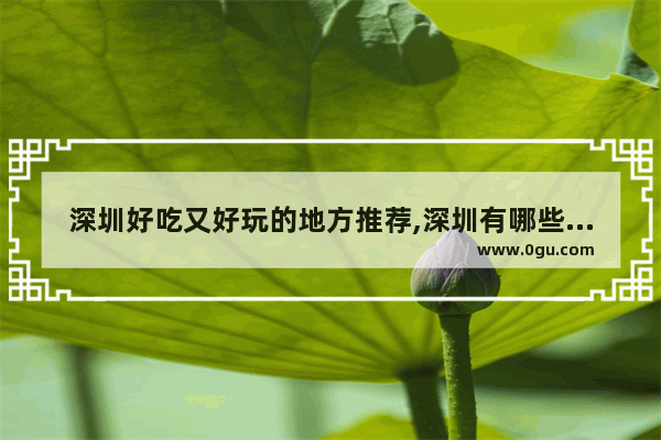 深圳好吃又好玩的地方推荐,深圳有哪些美食推荐