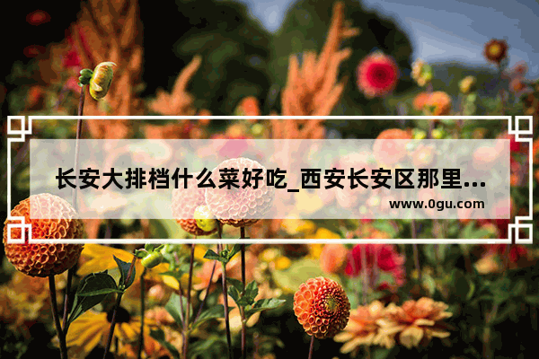 长安大排档什么菜好吃_西安长安区那里有集市请大家帮忙说一下