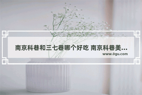 南京科巷和三七巷哪个好吃 南京科巷美食推荐餐厅地址在哪里啊