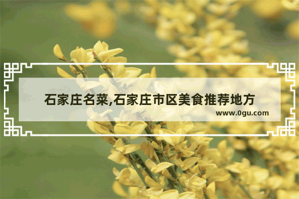 石家庄名菜,石家庄市区美食推荐地方