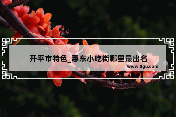 开平市特色_惠东小吃街哪里最出名
