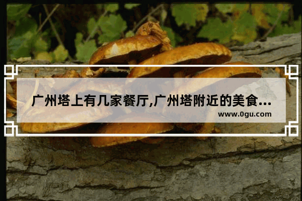 广州塔上有几家餐厅,广州塔附近的美食推荐自助餐厅在哪里啊多少钱