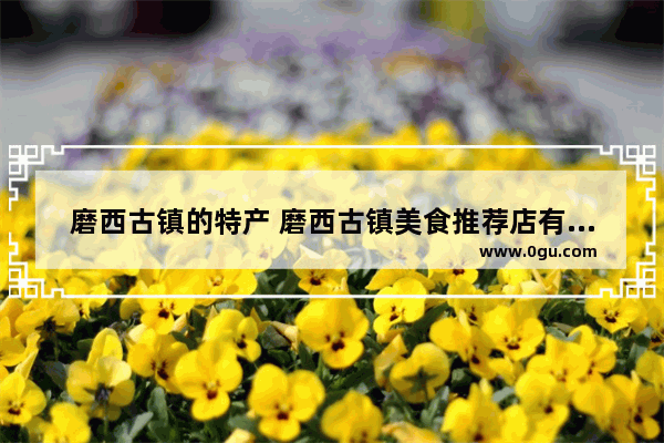 磨西古镇的特产 磨西古镇美食推荐店有哪些店