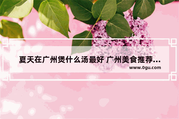 夏天在广州煲什么汤最好 广州美食推荐煲汤有哪些菜名好听