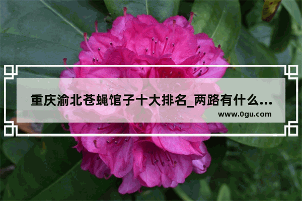重庆渝北苍蝇馆子十大排名_两路有什么好吃的 最好有具体地址