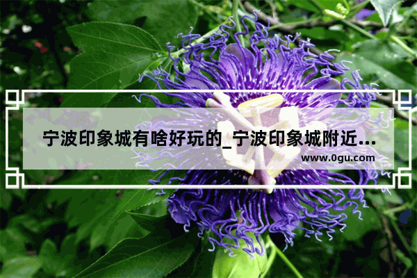 宁波印象城有啥好玩的_宁波印象城附近有哪些酒店
