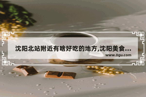 沈阳北站附近有啥好吃的地方,沈阳美食推荐烤鸡店有哪些地方好