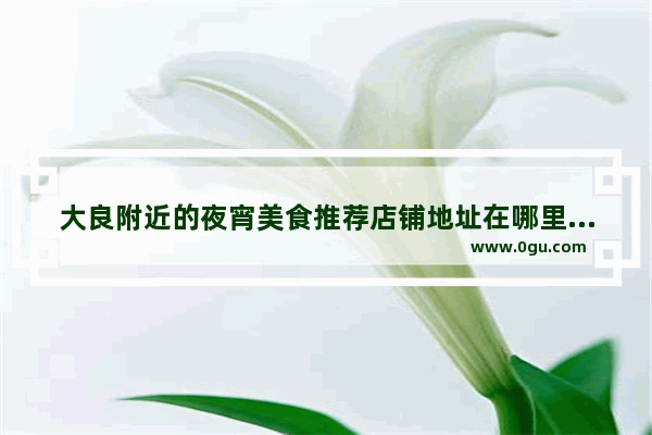 大良附近的夜宵美食推荐店铺地址在哪里,大良附近的夜宵美食推荐店铺地址在哪里