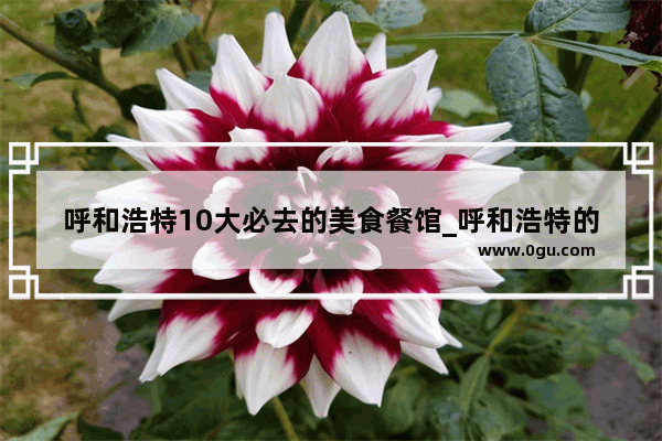 呼和浩特10大必去的美食餐馆_呼和浩特的特色小吃有什么
