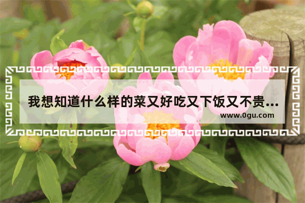 我想知道什么样的菜又好吃又下饭又不贵 有推荐的吗,有没有什么美食推荐