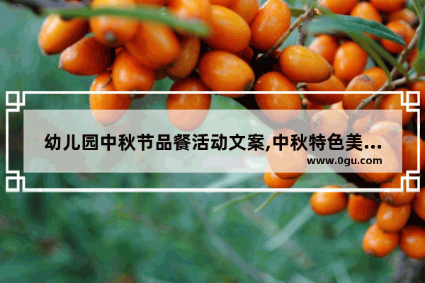 幼儿园中秋节品餐活动文案,中秋特色美食推荐理由简短一点四年级