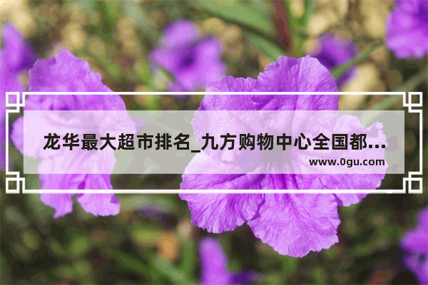 龙华最大超市排名_九方购物中心全国都有吗