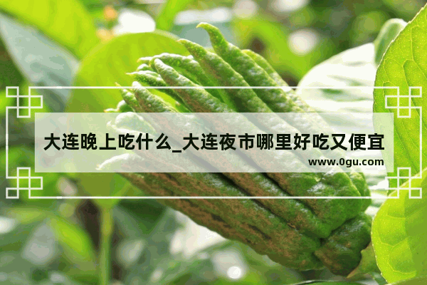 大连晚上吃什么_大连夜市哪里好吃又便宜