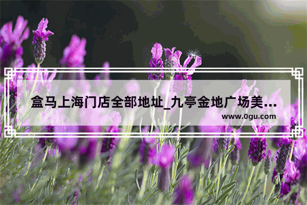 盒马上海门店全部地址_九亭金地广场美食推荐自助餐厅