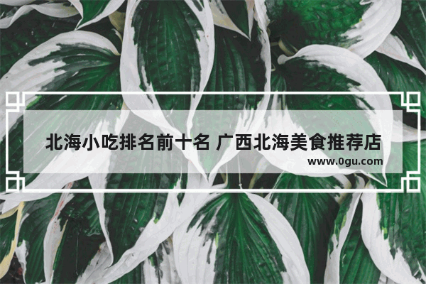 北海小吃排名前十名 广西北海美食推荐店