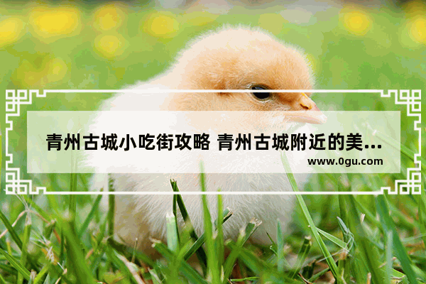 青州古城小吃街攻略 青州古城附近的美食推荐店在哪