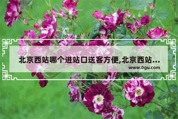 北京西站哪个进站口送客方便,北京西站附近美食推荐餐厅地址在哪