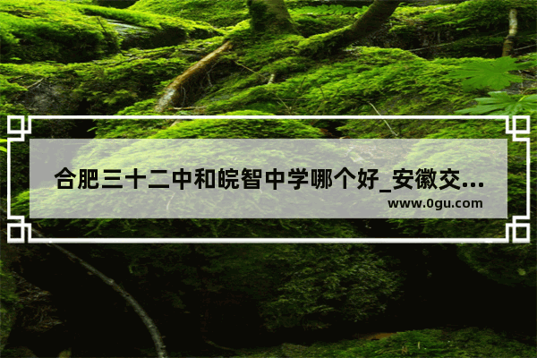 合肥三十二中和皖智中学哪个好_安徽交通职业技术学院附近有好吃的