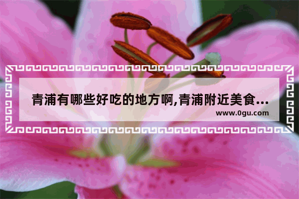 青浦有哪些好吃的地方啊,青浦附近美食推荐店有哪些地方好玩儿的